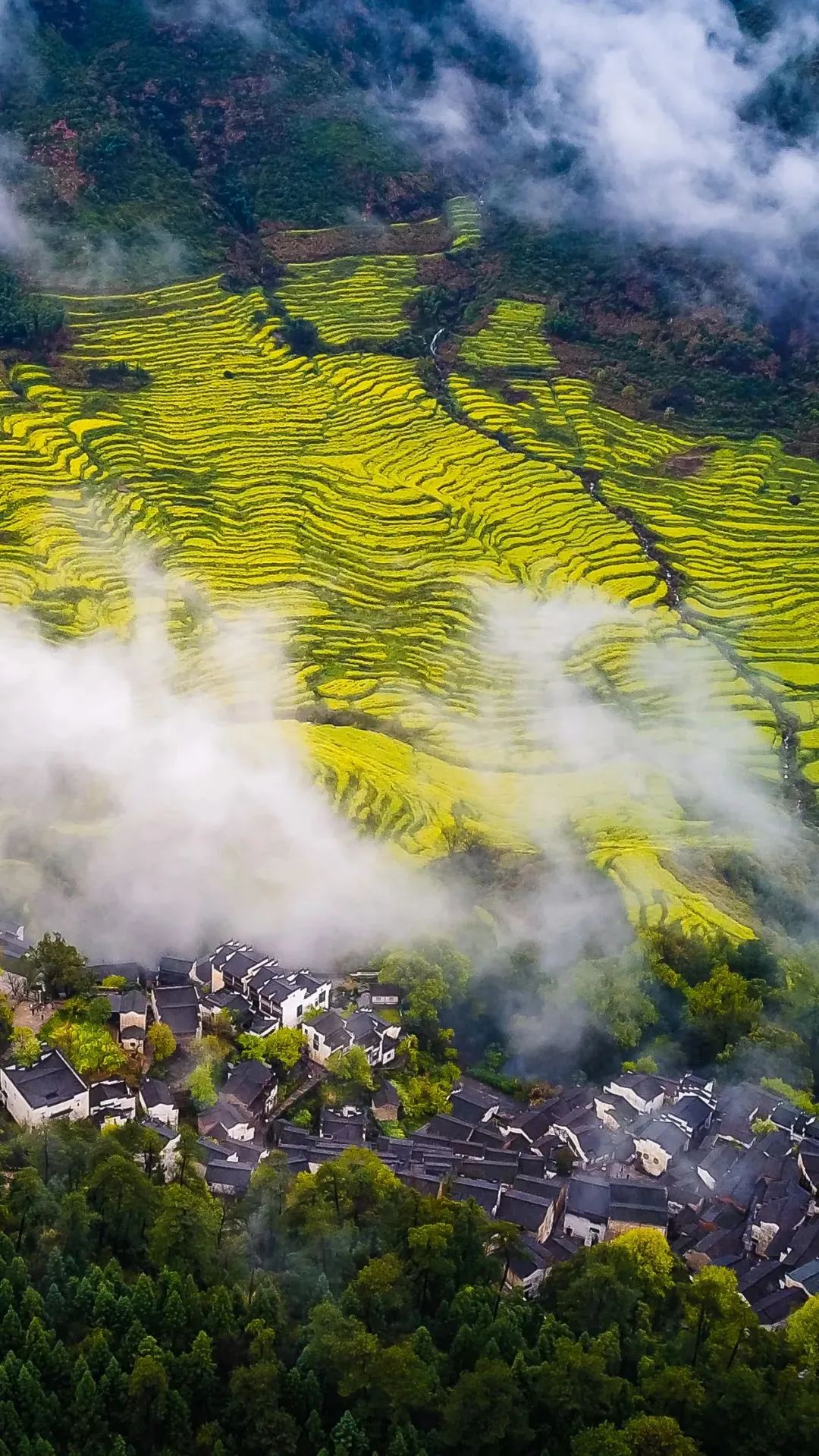 江西,我的家乡,骄傲之源